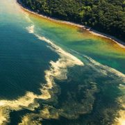Rundflug Rügen Blütenstaub Ostsee