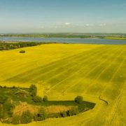 Rundflug Rapsblüte Schleswig-Holstein Mecklenburg