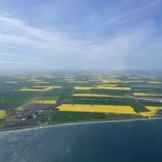 Rundflug Schleswig Holstein Rapsblüte