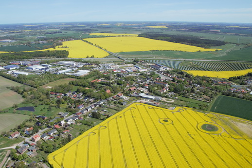 Rapsblüte in Mecklenburg-Vorpommern